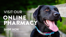 Our Online Pharmacy